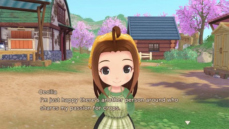 Story of Seasons: A Wonderful Life